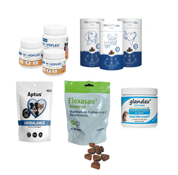 Hovedbilde Helsegodbiter