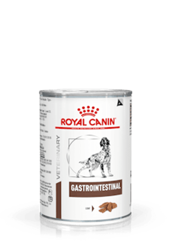 GASTROINTESTINAL DOG 400 GR BOKSEMAT