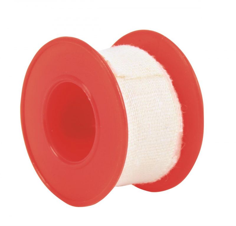 FØRSTEHJELP 1929 TIL HUND OG KATT