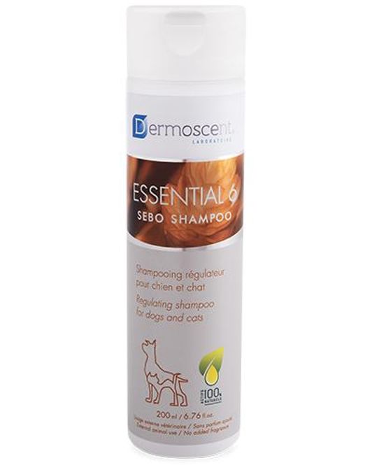 Hovedbilde DERMOSCENT ESSENTIAL 6 SEBO SHAMPOO