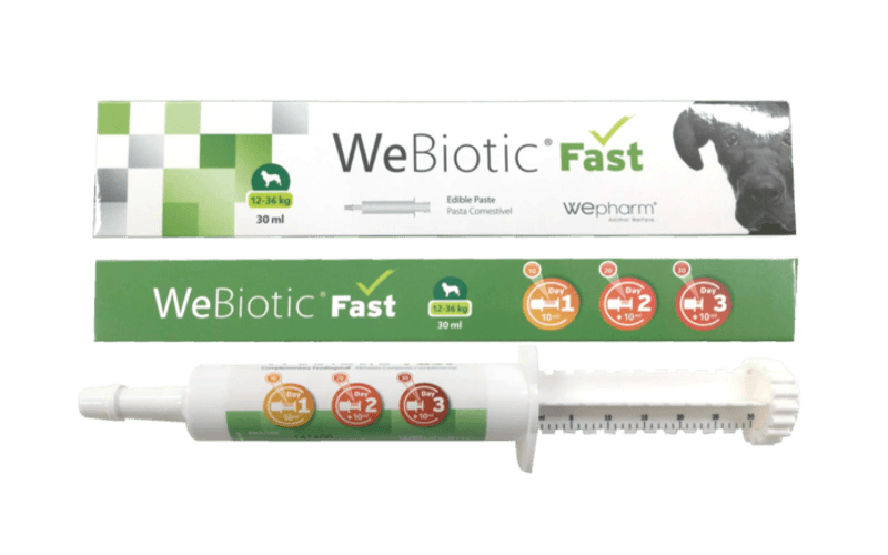 WEBIOTIC FAST