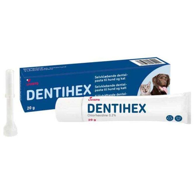 Hovedbilde DENTIHEX - 20g