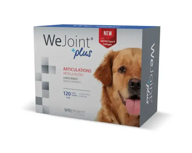 Hovedbilde WEJOINT PLUS