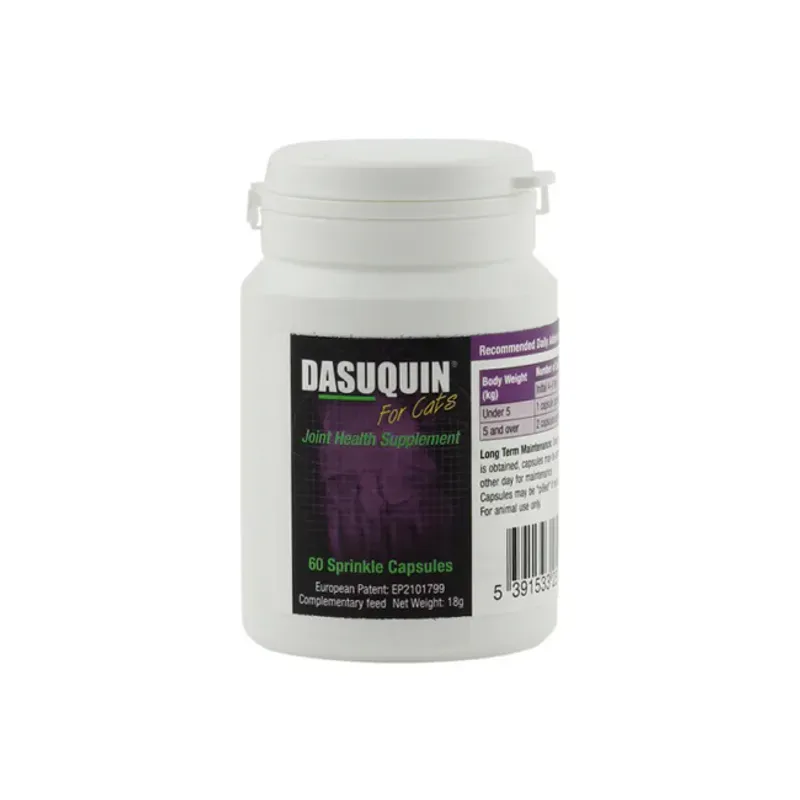DASUQUIN KATT